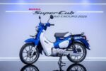 2026 Honda Super Cub 160 Enduro Classic Cub Reimagined for Adventure Riding
